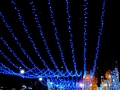 2-varna
