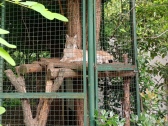 zoopark-sofia-5