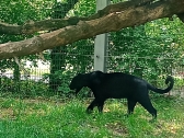 zoopark-sofia-7