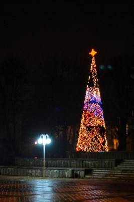 новогодняя елка