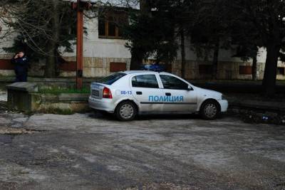 Полиция в Добриче