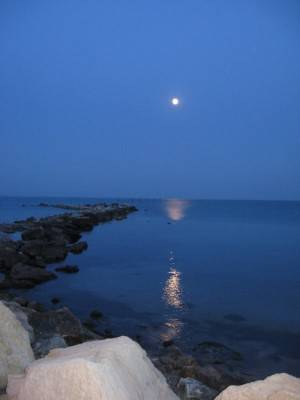 Балчик море ночью