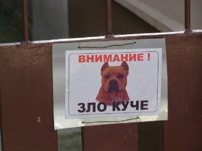 табличка "Злая собака"