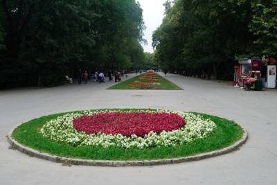клумба в парке