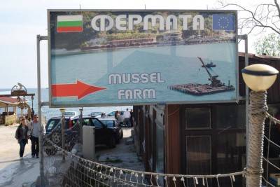 вывески ресторана справа