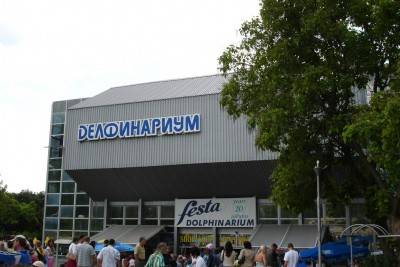 дельфинарий