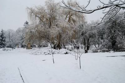 декабрь в Добриче