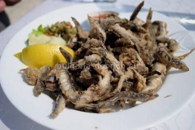 рыба цаца болгария