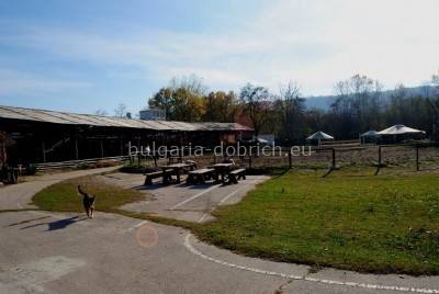 фанагория варна болгария