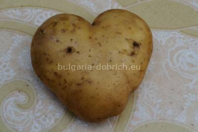 урожай картошки