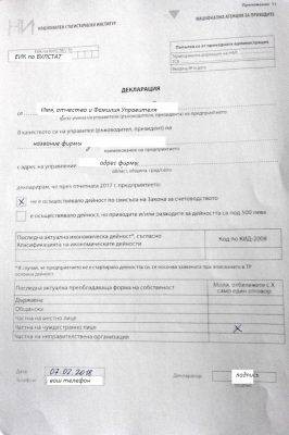 образец декларации НСИ