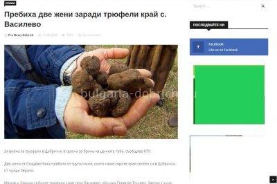 трюфельные бои