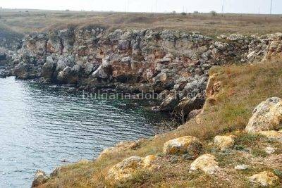 берег в тюленово