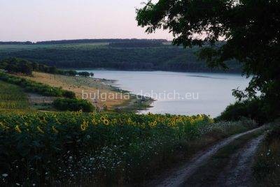 Одринци