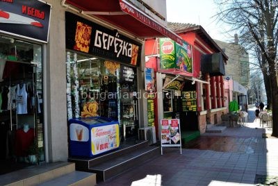 Березка в Добриче