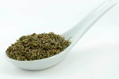 чубрица