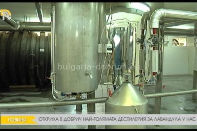 лавандовое масло