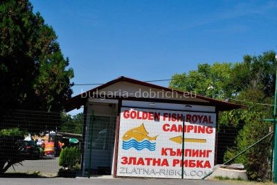 кэмпинг Золотая Рыбка